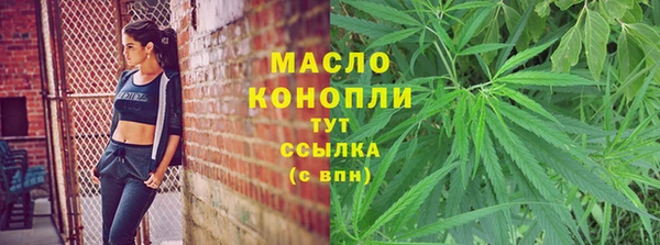 тгк Алексин