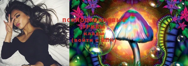тгк Алексин