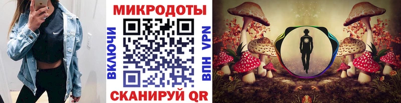 Галлюциногенные грибы MAGIC MUSHROOMS  Багратионовск 