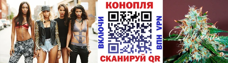 МАРИХУАНА планчик  Багратионовск 